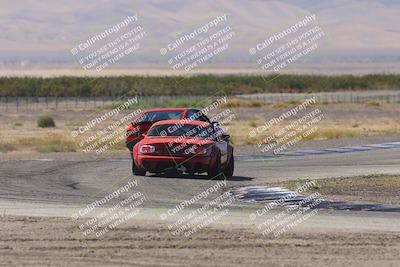 media/Oct-04-2025-OnGrid (Sat) [[44bd565ffa]]/Yellow Group/Grapevine/